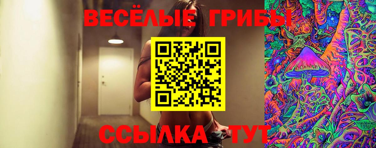 Галлюциногенные грибы мицелий Междуреченск