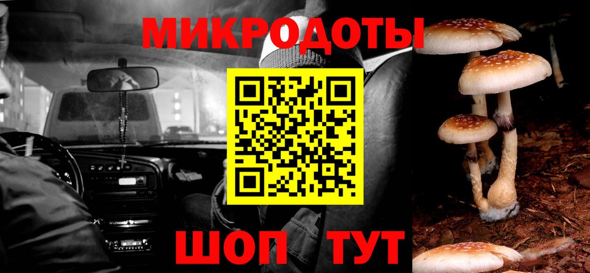 Междуреченск  Галлюциногенные грибы Psilocybe  Вход с VPN 